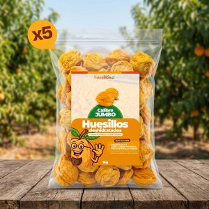 🍑 Huesillos Premium – Bolsa de 5 kg JUMBO