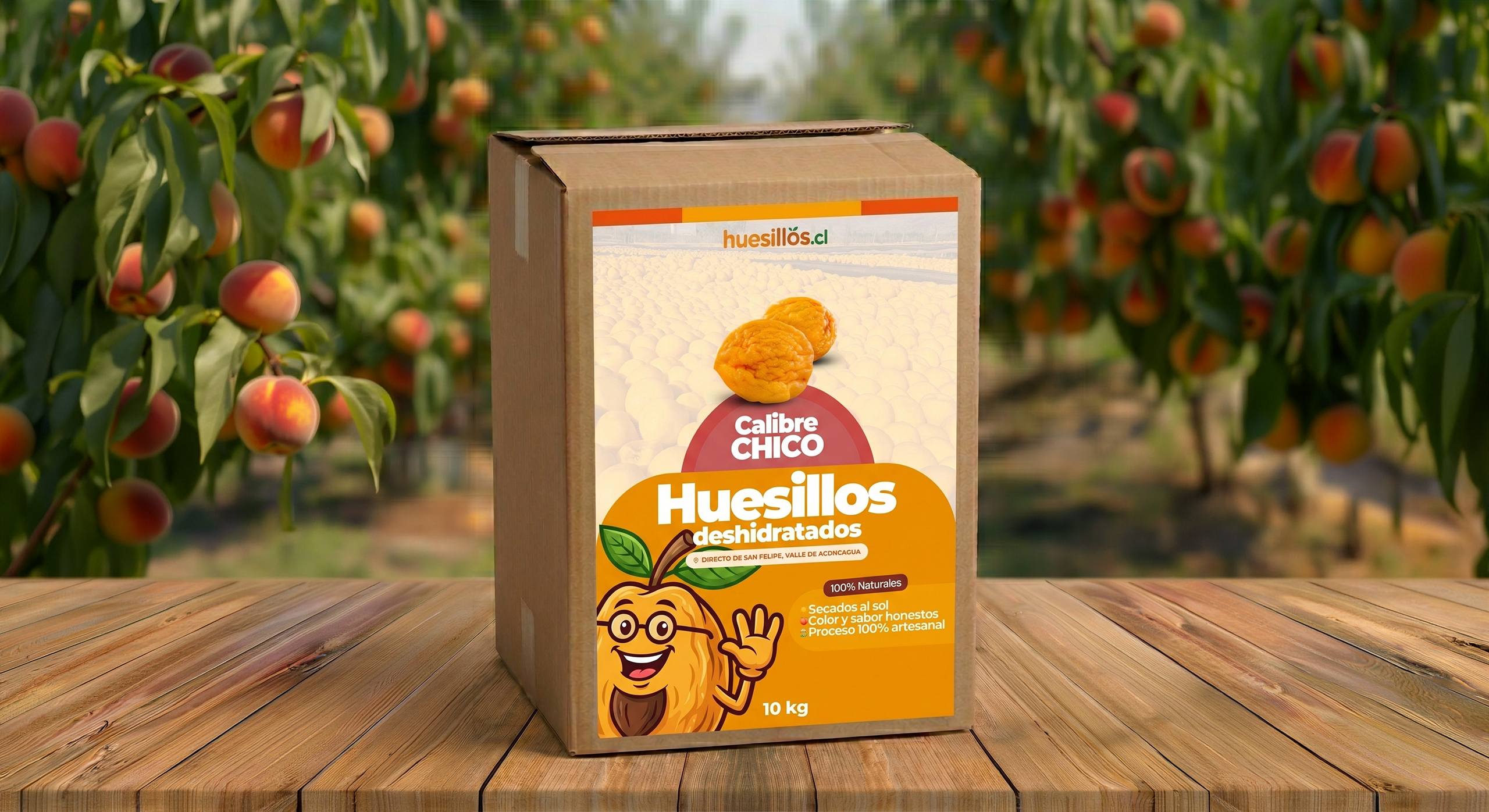 Caja de 10 kilos de huesillos mayoristas calibre chico