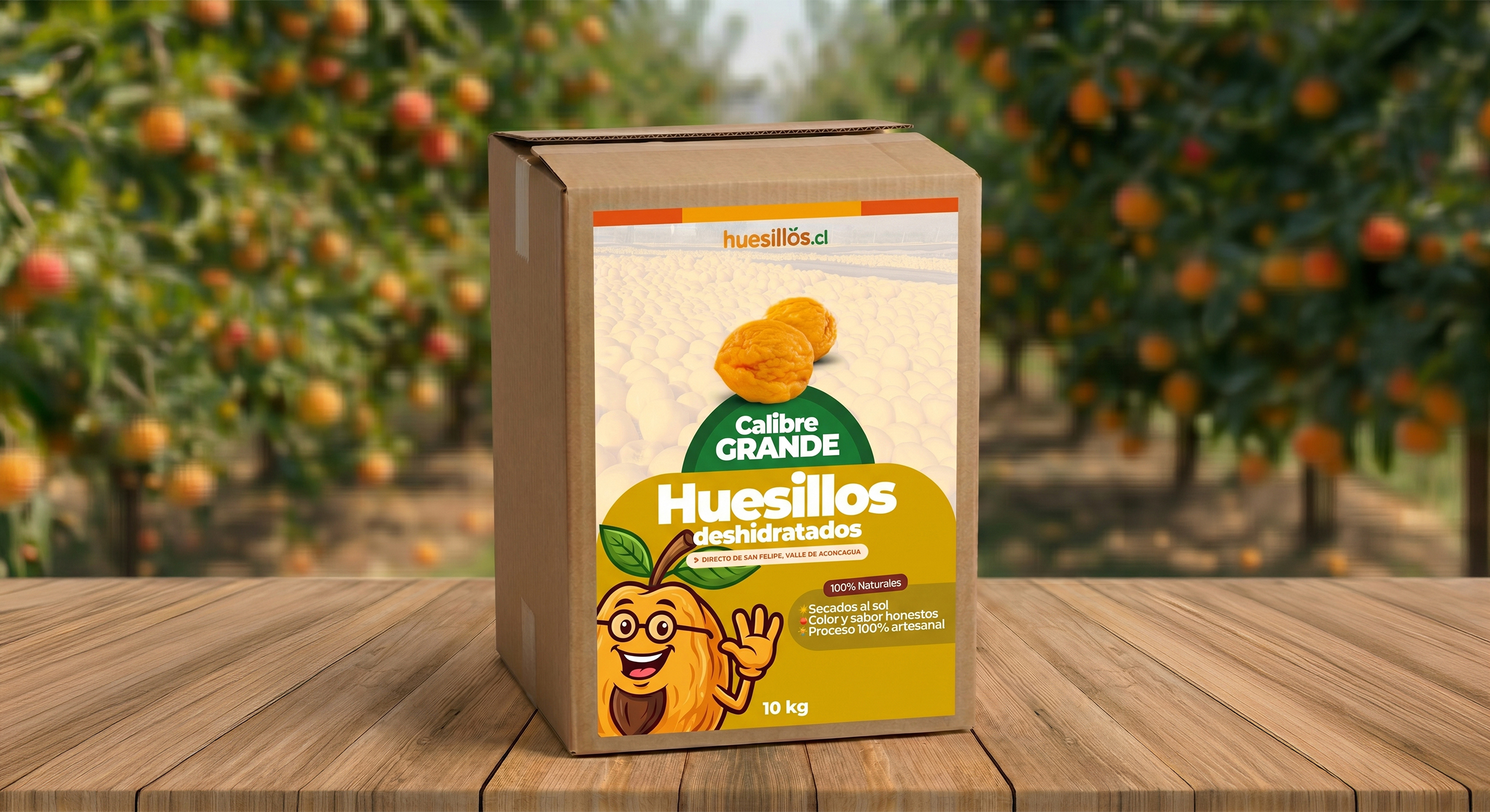 Caja de 10 kilos de huesillos mayoristas calibre grande