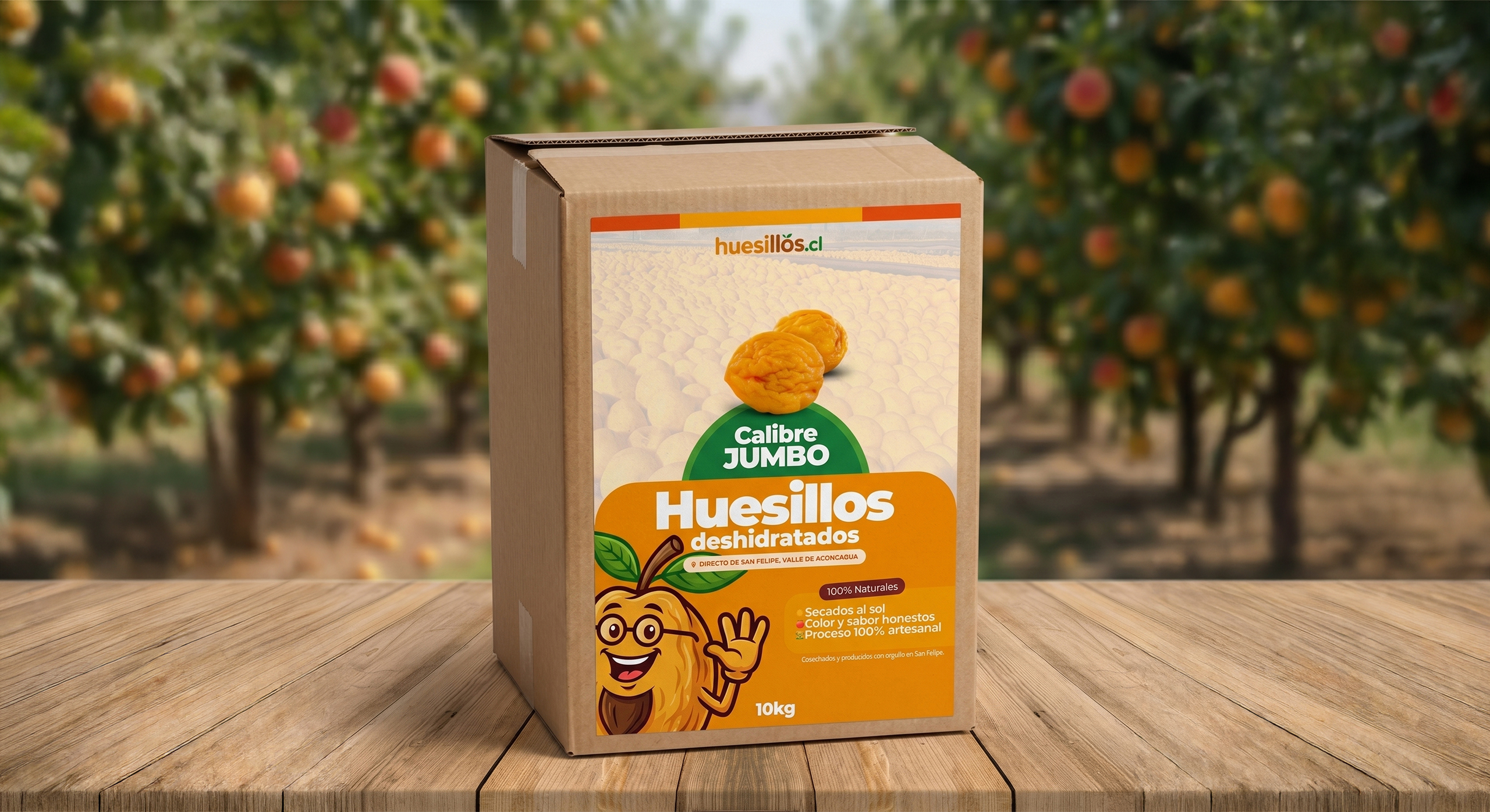 Caja de 10 kilos de huesillos mayoristas calibre jumbo