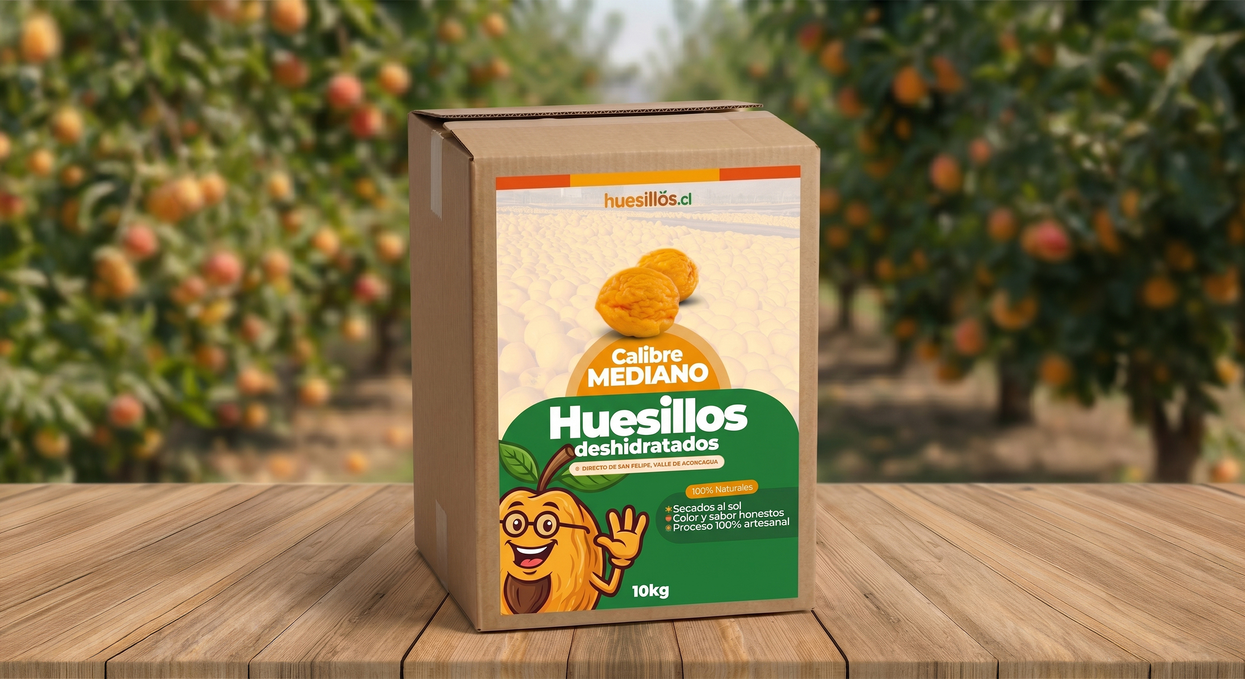 Caja de 10 kilos de huesillos mayoristas calibre mediano