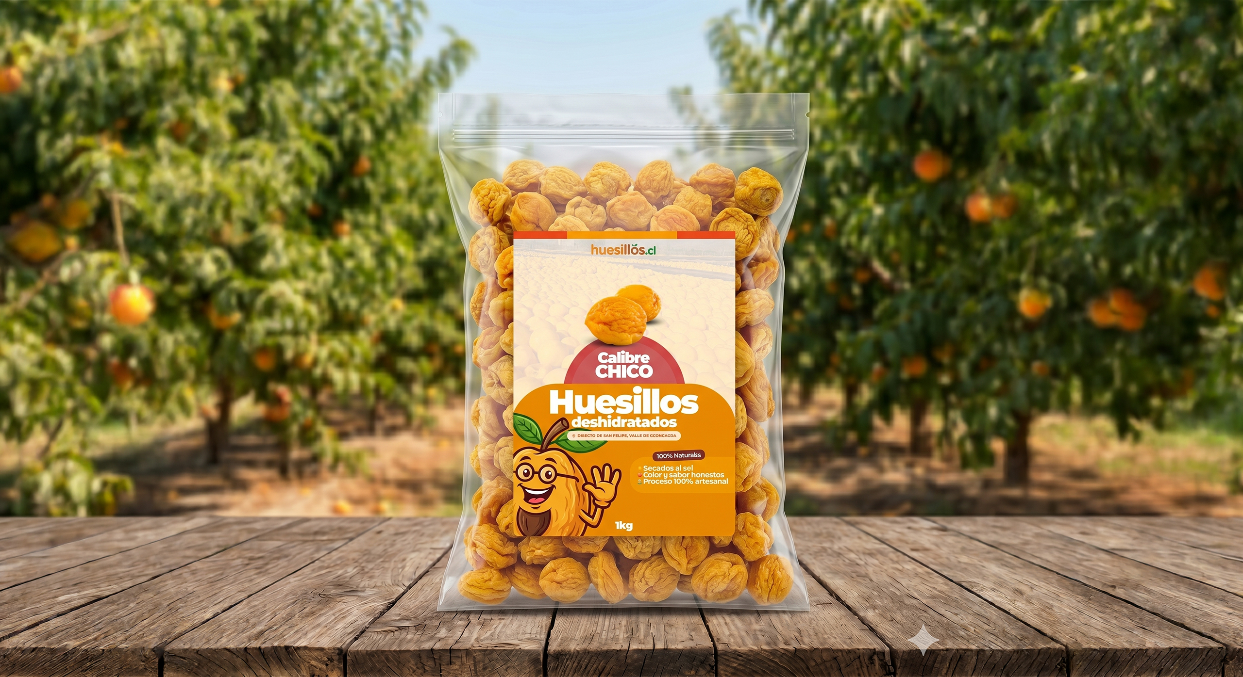 Bolsa de 1 kilo de huesillos seleccionados calibre chico