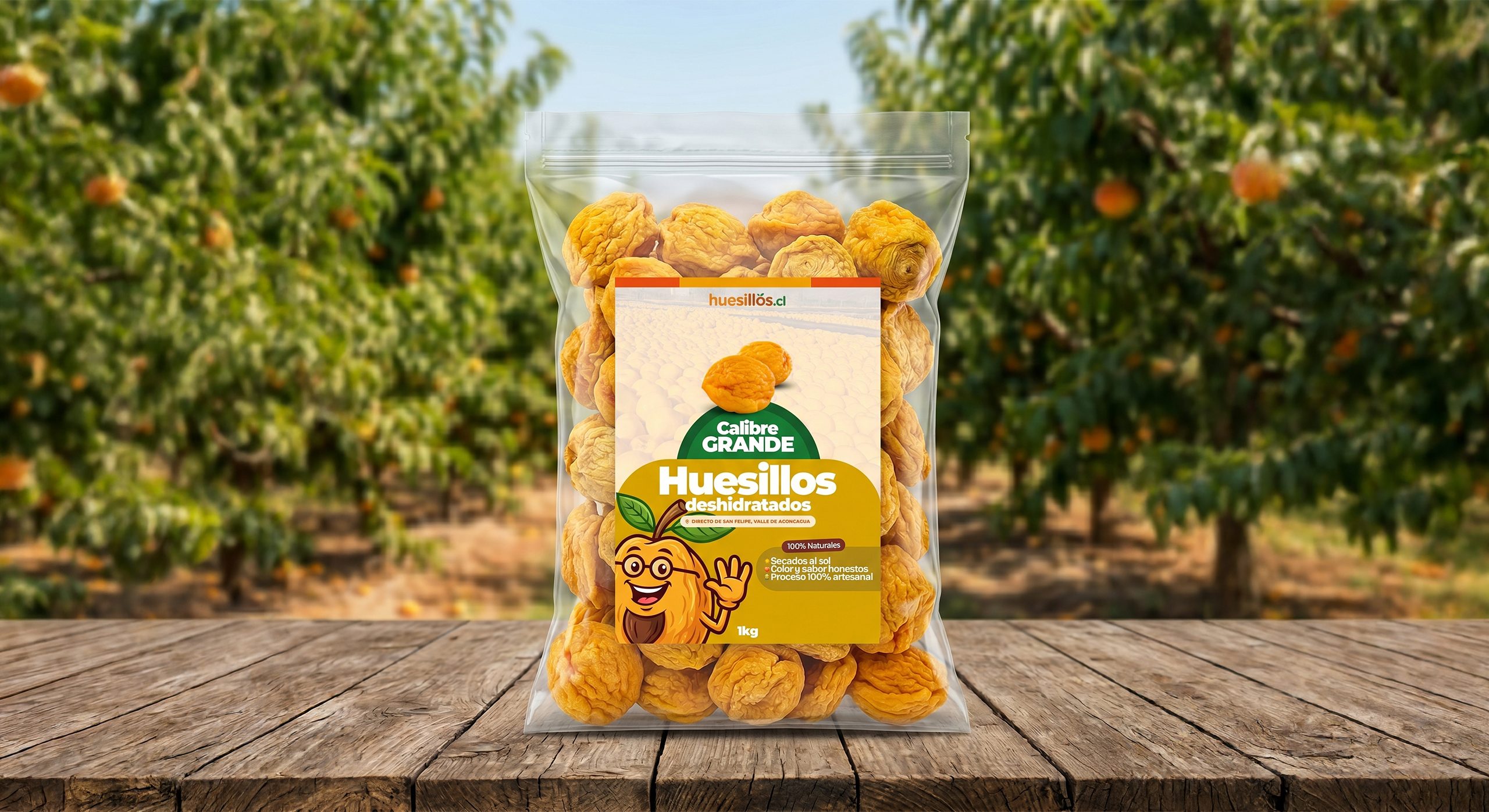 Bolsa de 1 kilo de huesillos seleccionados calibre grande